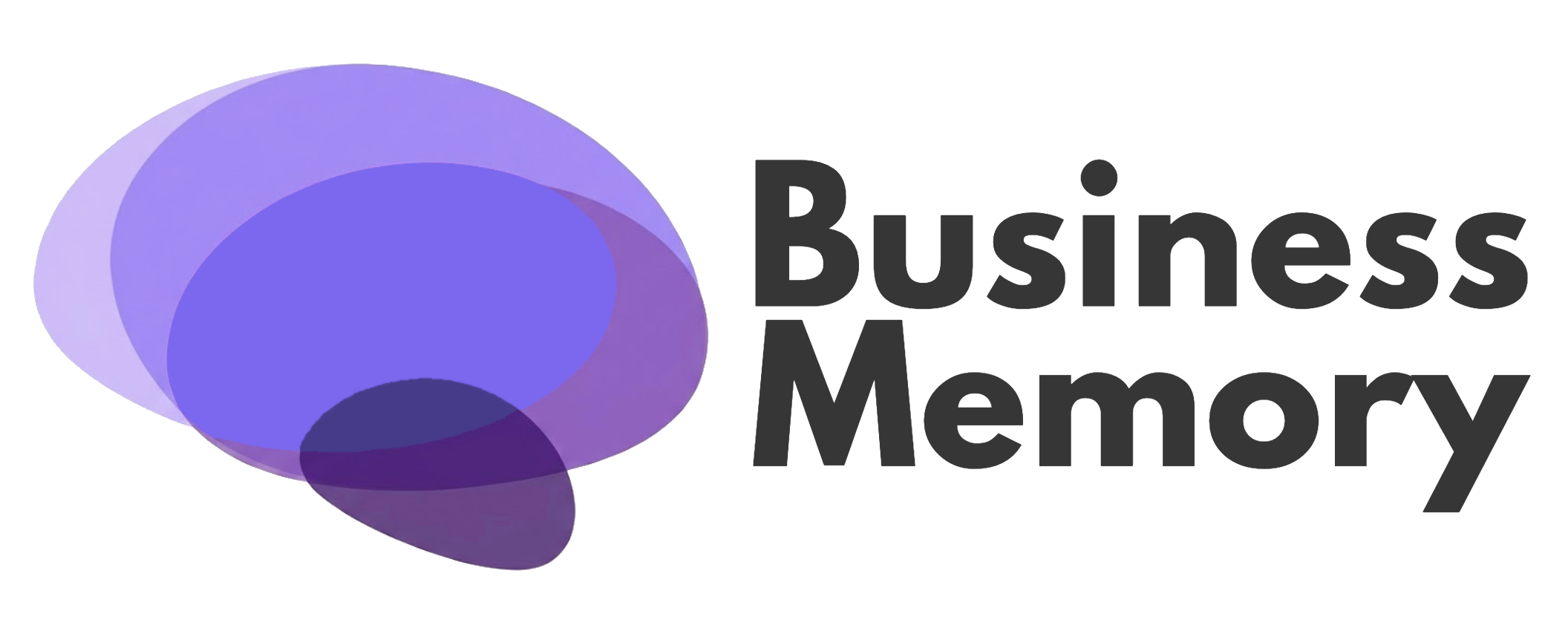 Business Memory Logo